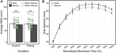 Visual processing of actions directed towards three-dimensional objects in immersive virtual reality may involve holistic processing of object shape